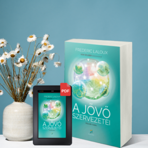 Frederic Laloux: A jövő szervezetei - második kiadás nyomtatott + pdf